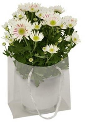 [A-013062] Tasje Luxury PP Transparant 16x8x16 cm