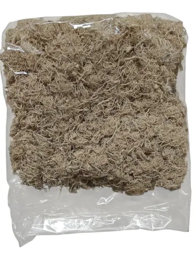 [A-002265] Curly Mos Naturel 500 gram