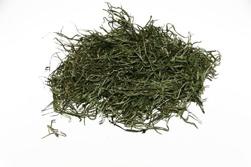 [A-005246] Tillandsia Spaansmos Forestmos Appelgroen 250–300 gram gepreserveerd