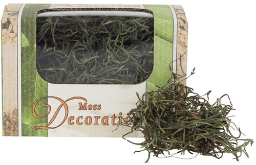 [A-005589] Tillandsia Spaansmos Forestmos Mosgroen 20 gram gepreserveerd