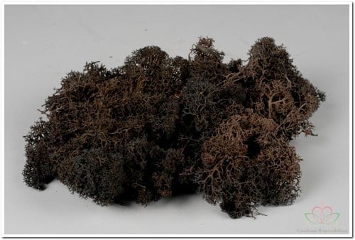 [A-008218] Rendiermos IJslandsmos Finlandsmos Zwart 500 gram