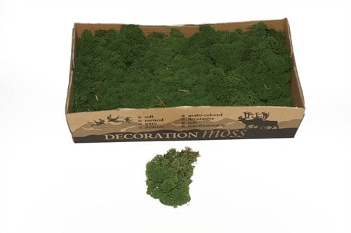 [A-009076] Rendiermos IJslandsmos Finlandsmos Mosgroen 2700–3000 gram
