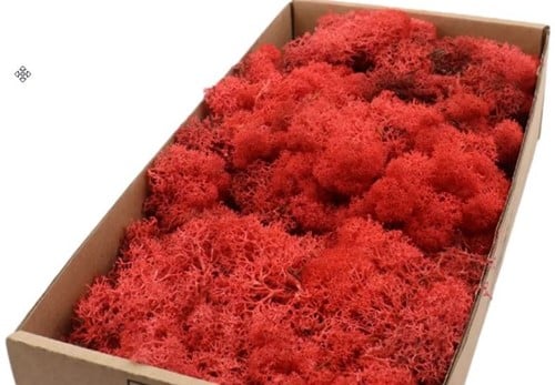 [A-011303] Rendiermos IJslandsmos Finlandsmos Rood 500 gram