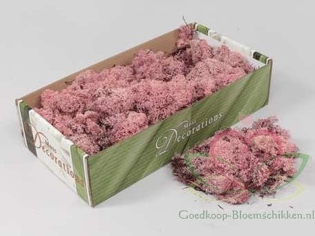 [A-011306] Rendiermos IJslandsmos Finlandsmos Roze 500 gram