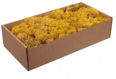 [A-022640] Rendiermos IJslandsmos Finlandsmos Okergeel 500 gram
