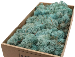 [A-023867] Rendiermos IJslandsmos Finlandsmos Iceblue 500 gram