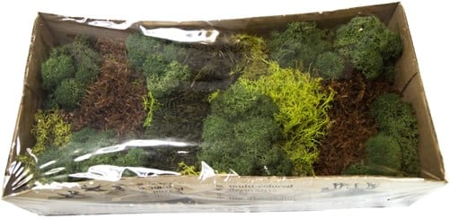 [A-027274] Mos Mix Mosgroen Gedroogd houdbaar