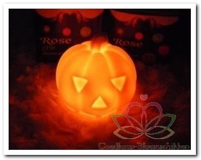 [A-008619] Pompoen LED Colorchanging Per stuk