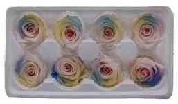 [A-017336] Geconserveerde rozen Geprepareerd Regenboog Soft doos 8 stuks