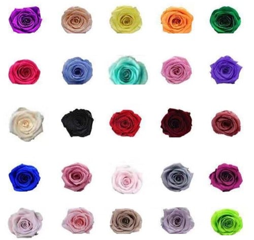 [A-017338] Geconserveerde rozen Geprepareerd Champagne doos 8 stuks