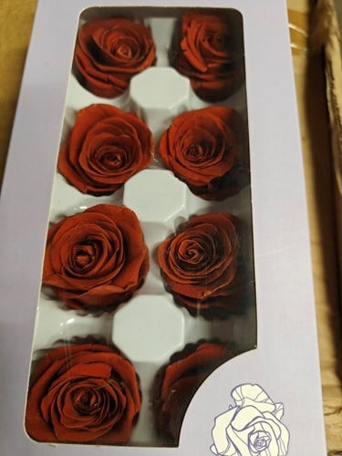 [A-017436] Geconserveerde rozen Geprepareerd Rood Earth doos 8 stuks