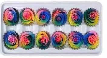 [A-017454] Geconserveerde rozen Geprepareerd Regenboog doos 8 stuks