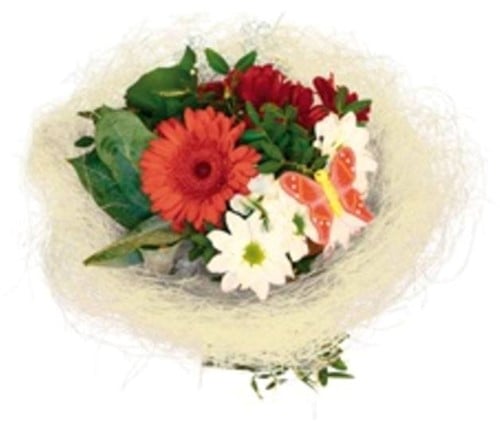 [A-015423] Boekethouder Sisal rond los Gebleekt Naturel 25 cm