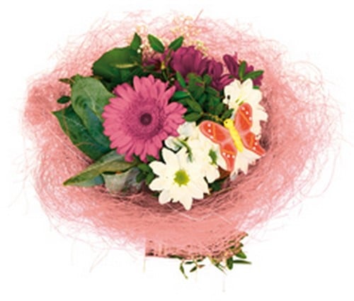 [A-022788] Boekethouder Sisal Roze excl. decoratie 30 cm