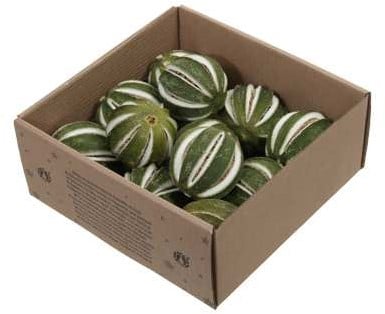 [A-026095] Gekerfde limoenen Groene sinaasappel 9 stuks