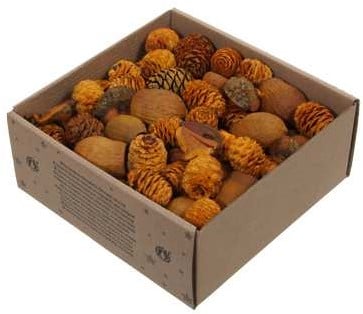 [A-026099] Leucodendron assortiment Oranje Goud wash 640 gram