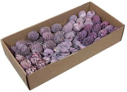 [A-027003] Leucodendron assortiment op draad Lila Brombeer doos 100 stuks