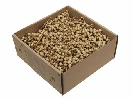 [A-027020] Canella 2" cut stukjes takjes Naturel ca. 5 cm 300 gram
