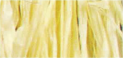[A-015639] Raffia Natuurraffia Geel 25 gram