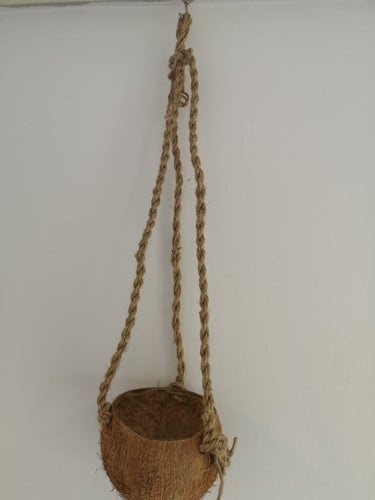 [A-022461] Coconut Plantenhanger Cocodama Kokodama