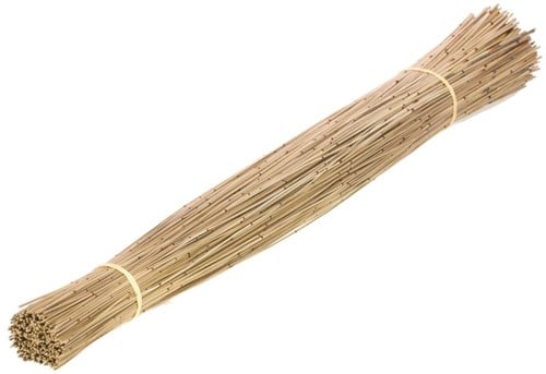 [A-022941] Restio Giganteus natural Vleireet Koffieriet Mikado ca. 80 cm