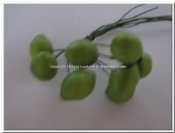 [A-003378] Citrusvruchtjes Groen op draad tros per stuk