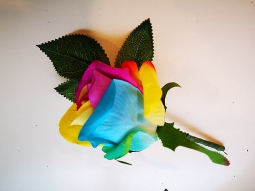 [A-024690] Regenboogcorsage Luxe Corsage Zijden Rainbow Cerise Geel Blauw