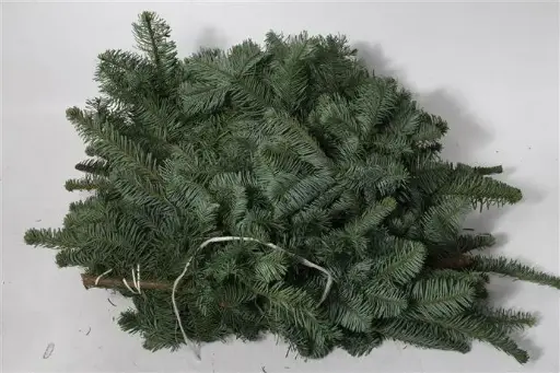 [A-016537] Nobilis handbos vers ca. 50 cm ca. 500 gr Lekker veel KerstGroen vers