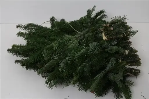 [A-022675] Nordman handbos bos vers ca. 50cm ca. 500 gr Lekker veel KerstGroen vers