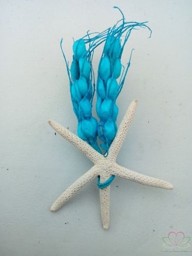 [A-014363] MaatwerkCorsage Zeester Aqua Gerst+magneet Maatwerk corsage