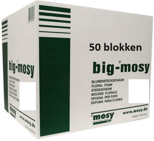 [A-025120] Aanbieding Steekschuim BIG MOSY 50 grote blokken / Doos50 23 x 11 x 8 cm