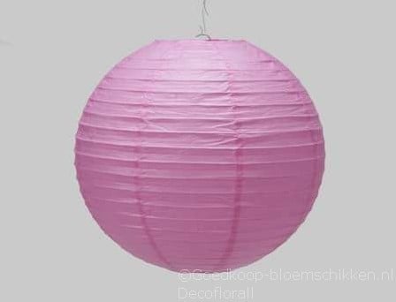 [A-015306] Lampion Pink 20 cm 
