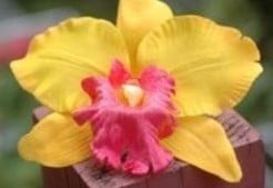 [A-007247] Oranje Gele Orchidee Zijden bloem