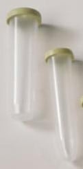 [A-003693] Anthuriumflesje 35 cc 110 mm x 22 mm per stuk