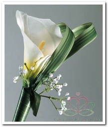 [A-008486] Bladlint Leaflene Groen per meter makkelijk te scheuren, alternatief voor Berengras