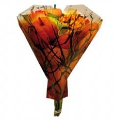 [A-002659] Boekethoes OPP40 mu Pumpkin + twig M-sta 52 x 44 x 12 cm