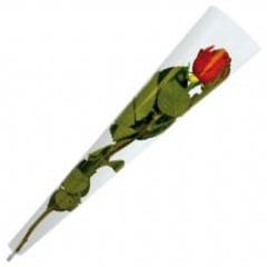 [A-006278] Hoes enkele bloem Transparant 45x12x3 cm pak 50 35 micron