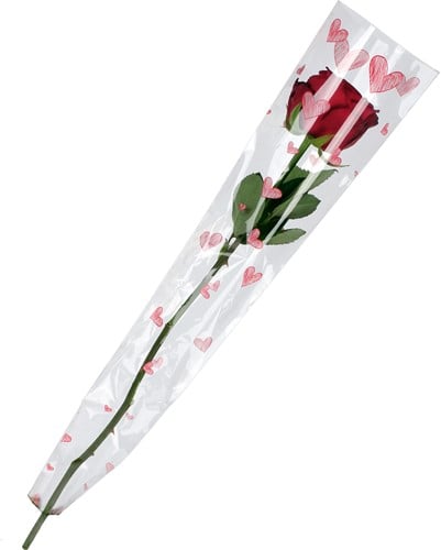 [A-015286] Hoes enkele bloem Sketched heart 65x13x3 cm pak 50 stuks