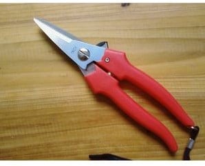 [A-003956] Bloemenschaar groot met lock 19 cm oranje