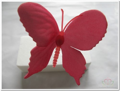 [A-009305] Vlinders van foam Pink 6 cm Doos 36 stuks