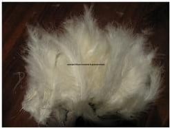 [A-003325] Veren Fluffy Echte veertjes Wit 15 stuks