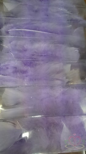 [A-008301] Veren Echte veertjes Lila Roze 10 gram