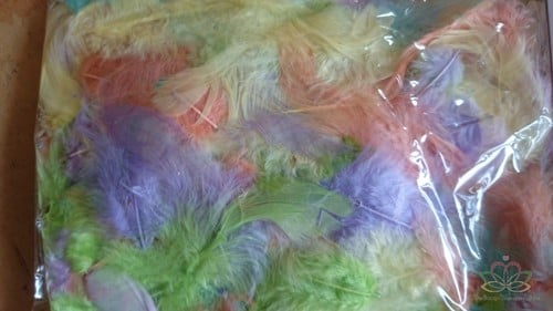 [A-010362] Veertjes Echte veertjes Mengsel Pastel