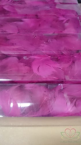 [A-010874] Veren Echte veertjes Fuchsia 10 gram