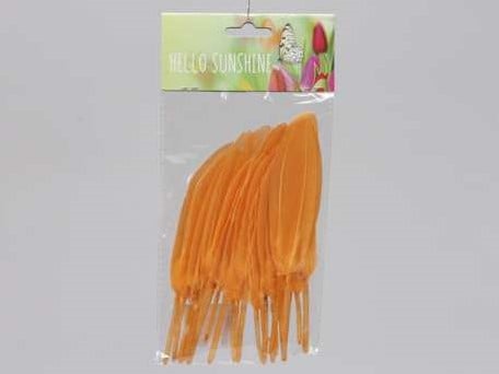 [A-013151] Penveren ca. 14cm 24 stuks Oranje Echte veren 