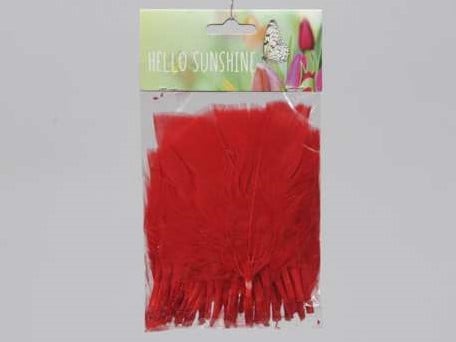 [A-013152] Veren Echte veertjes Rood 48 stuks