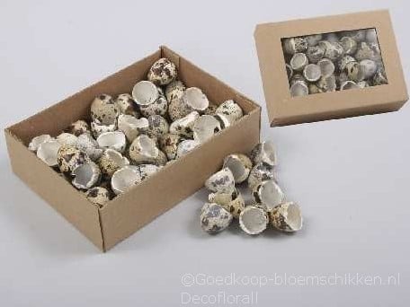 [A-015058] Kwarteleitjes gebroken doosje