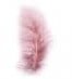 [A-020086] Veren Echte veertjes Fluffy Oudroze 5-10 cm 15 stuks