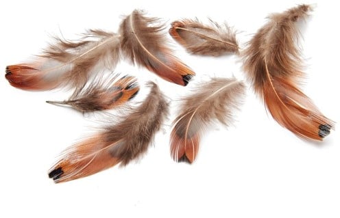 [A-023854] Fazantenveren borstveren 4-8 cm ca. 15 gram