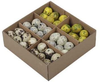 [A-023946] Kwarteleitjesmix Oranje doos 72 stuks uitgeblazen voor decoratie
